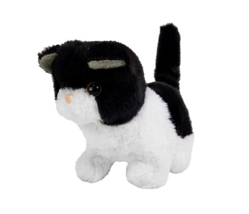 Black and White Cat Walks Wags Its Tail on Batteries