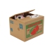 Mischief Saving Box Cute Kitty Money Box Piggybank