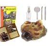 Triceratops Dinosaur Excavation Educational Kit