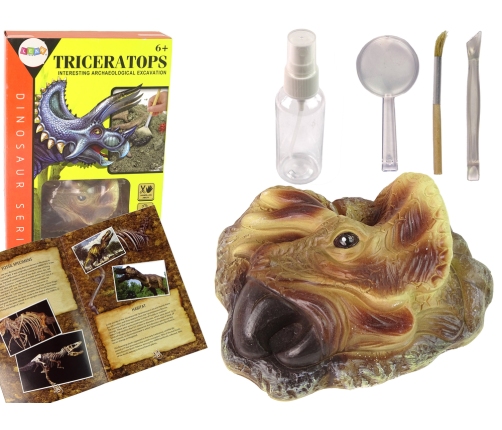 Triceratops Dinosaur Excavation Educational Kit