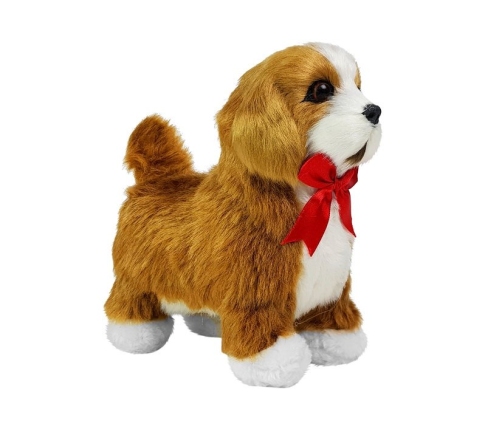 Interactive Dog Cavalier Spaniel Moves, Barks