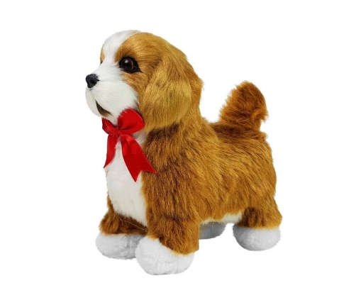 Interactive Dog Cavalier Spaniel Moves, Barks