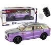 RC Car 1:24 Car Vehicle E-9 Aluminum Remote Controlled Purple