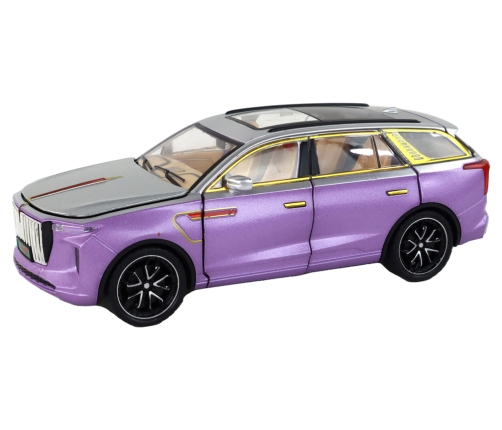 RC Car 1:24 Car Vehicle E-9 Aluminum Remote Controlled Purple