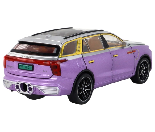 RC Car 1:24 Car Vehicle E-9 Aluminum Remote Controlled Purple