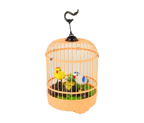 Orange Cage Parrots