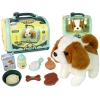 Dog Grooming Kit for Kids Green