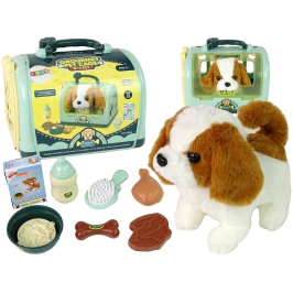 Dog Grooming Kit for Kids Green