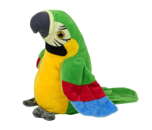 Interactive Talking Green Parrot Repeating Words