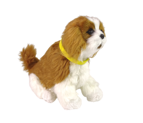 Interactive Plush Dog Soft fur Cavalier breed Stroke its head and learn its functions