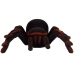 Remote Controlled Tarantula Black R/C Spider