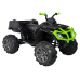 Quad BDM 0909 Green 24V - Electric Ride On Vehicle