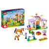 LEGO FRIENDS Horse Training 41746