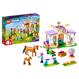 LEGO FRIENDS Horse Training 41746