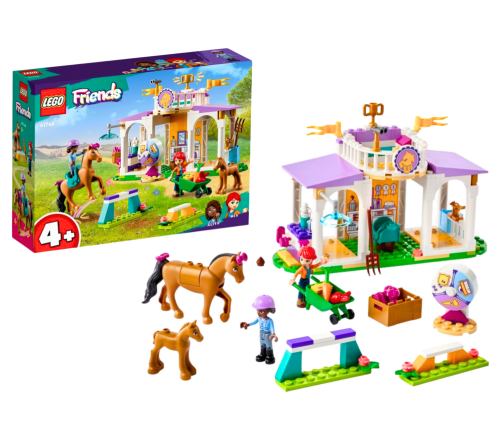 LEGO FRIENDS Horse Training 41746