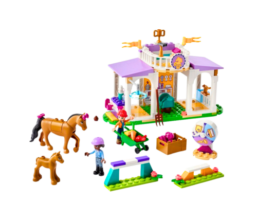 LEGO FRIENDS Horse Training 41746