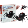 Creative Saltwater Powered Spider Kit DIY Black