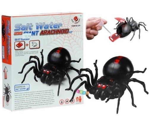 Creative Saltwater Powered Spider Kit DIY Black