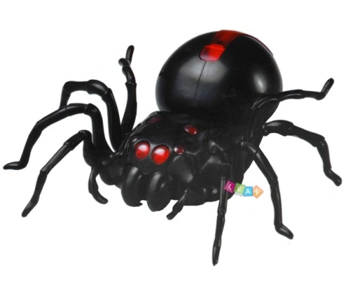 Creative Saltwater Powered Spider Kit DIY Black