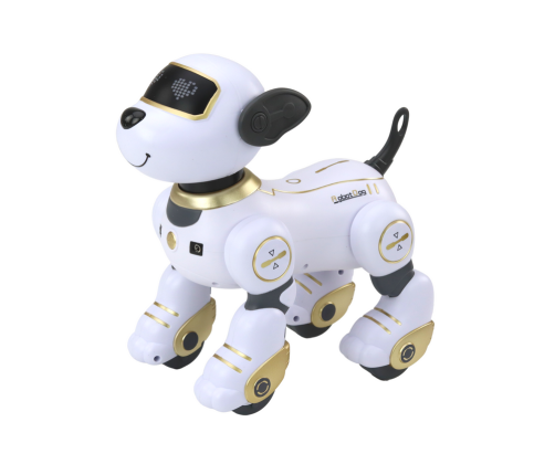 Remote Controlled Interactive Robot Dog Dancing Follows Commands Golden