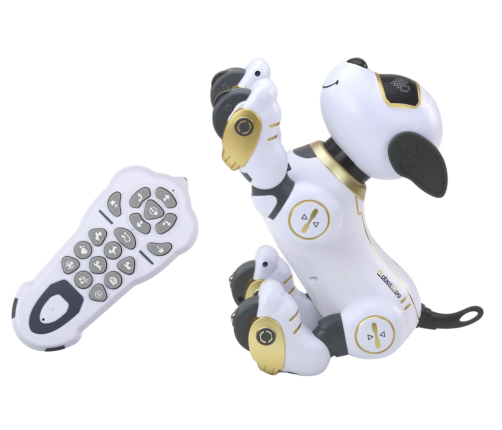 Remote Controlled Interactive Robot Dog Dancing Follows Commands Golden