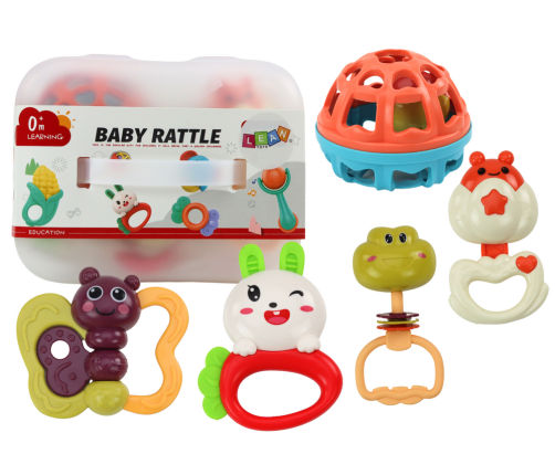 Rattle Toy Set for Toddlers in a Box 5 Pcs