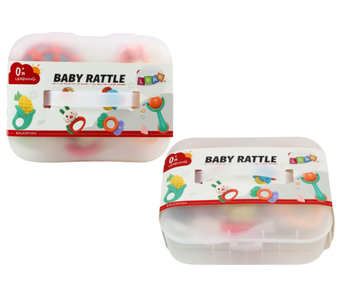 Rattle Toy Set for Toddlers in a Box 5 Pcs