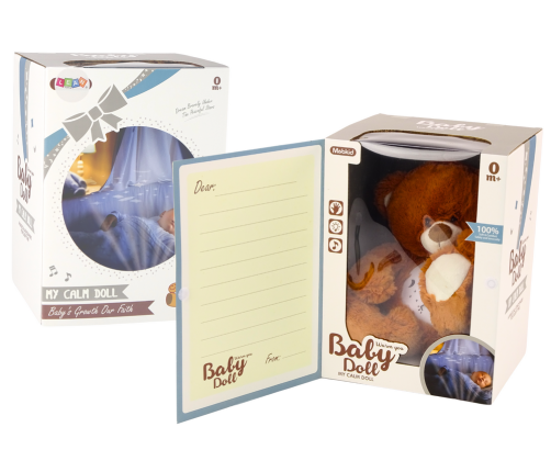 Teddy Bear Sleeping Lights Sounds Night and Day Mode Brown