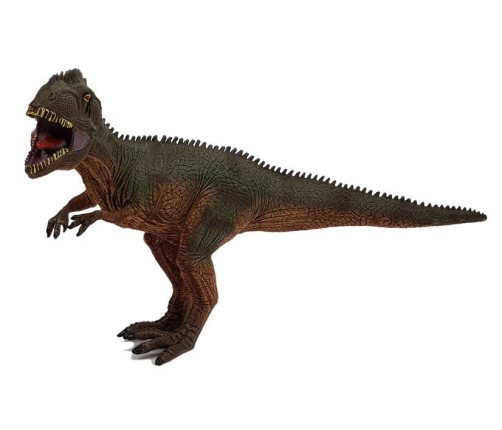 Dinosaur Set Big Figures Models 6 pieces Tyrannosaurus