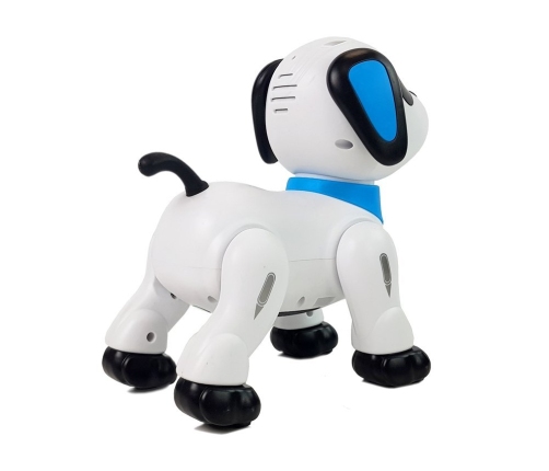 Robot Dog