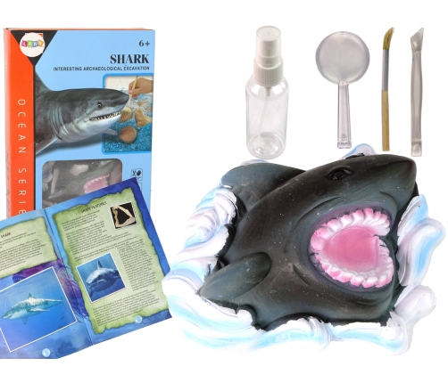 Ammonite Shark Excavation Educational Kit