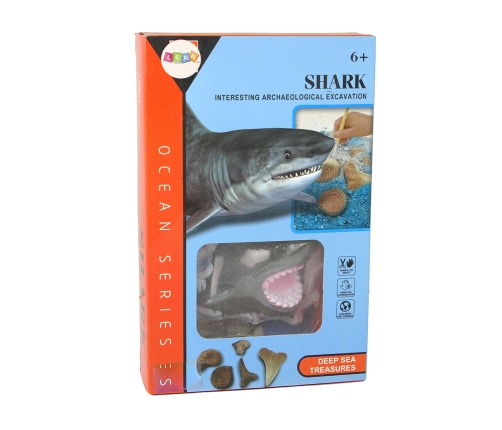 Ammonite Shark Excavation Educational Kit