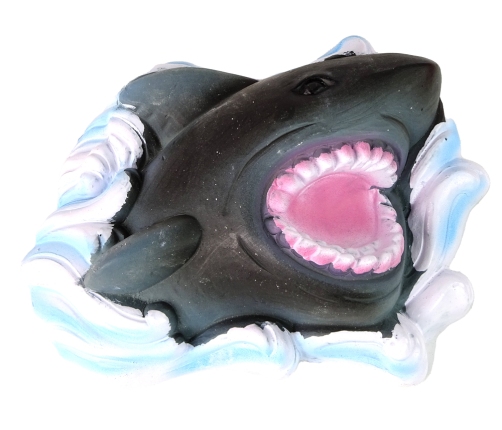 Ammonite Shark Excavation Educational Kit