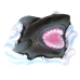 Ammonite Shark Excavation Educational Kit