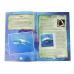 Ammonite Shark Excavation Educational Kit