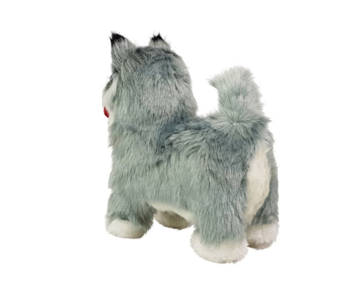 Interactive Husky Dog Moves, Barks