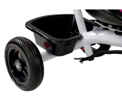 Tricycle PRO300 Blue