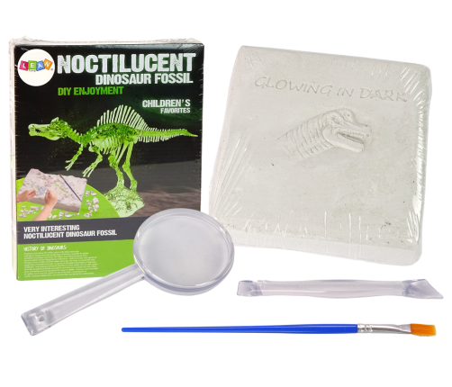 Archaeology Excavation Kit Dinosaur Skeleton 3D Hologram