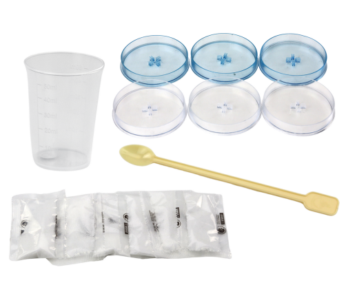 Creative Educational Kit for Growing Crystal Trees