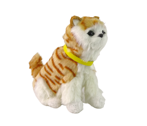 Interactive Plush Kitty Soft fur Stroke its head and learn its functions