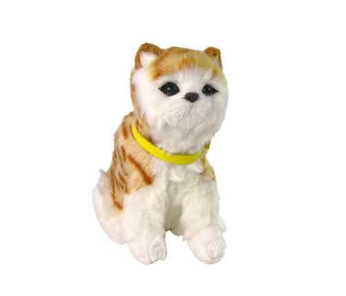 Interactive Plush Kitty Soft fur Stroke its head and learn its functions