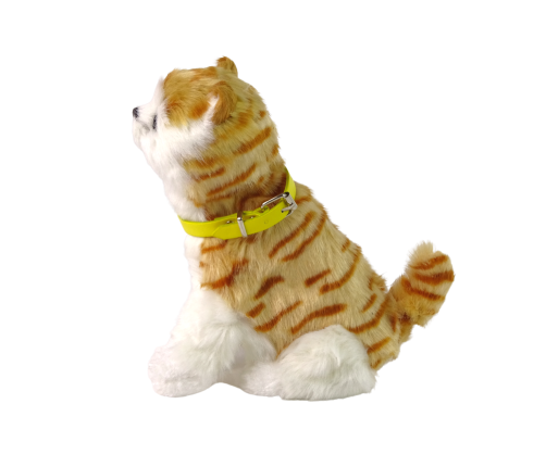 Interactive Plush Kitty Soft fur Stroke its head and learn its functions