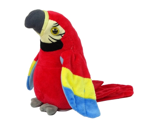 Interactive Talking Red Parrot Repeating Words