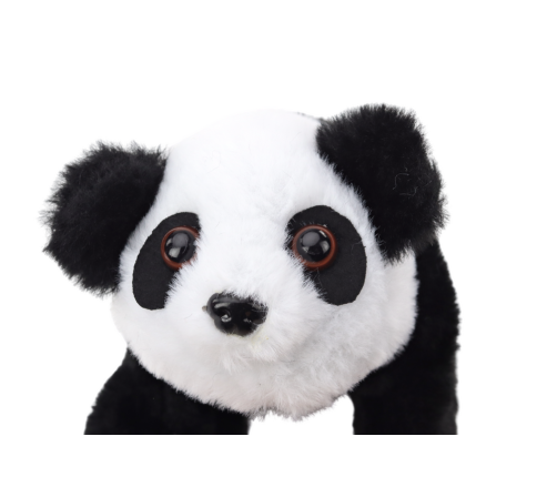 Interactive Plush Panda In Pink Blue Transporter