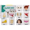 Educational Puzzle Body Parts Jigsaw Puzzle 10 English Connections