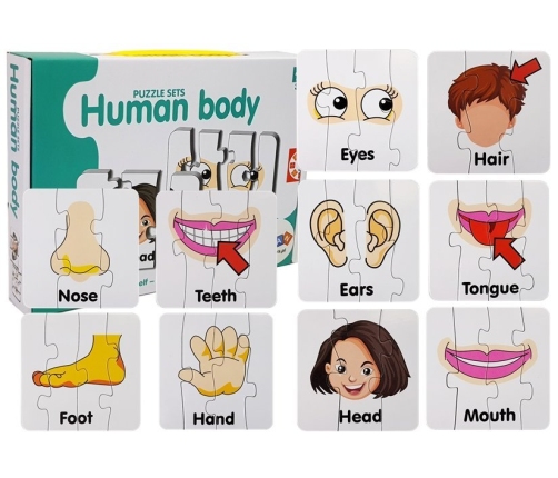 Educational Puzzle Body Parts Jigsaw Puzzle 10 English Connections