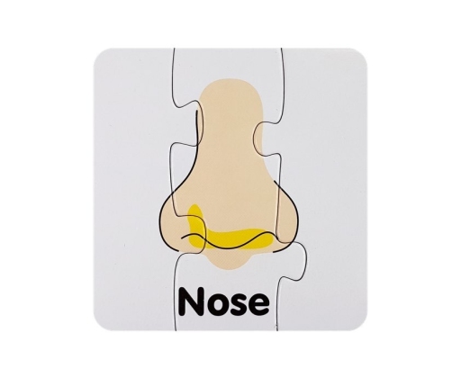 Educational Puzzle Body Parts Jigsaw Puzzle 10 English Connections