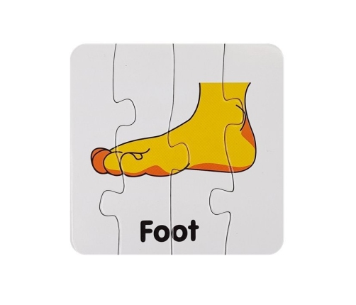 Educational Puzzle Body Parts Jigsaw Puzzle 10 English Connections