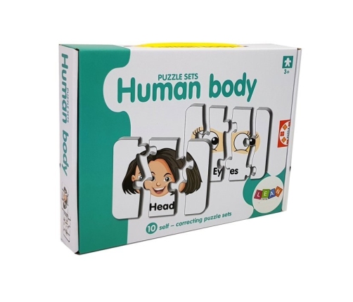 Educational Puzzle Body Parts Jigsaw Puzzle 10 English Connections