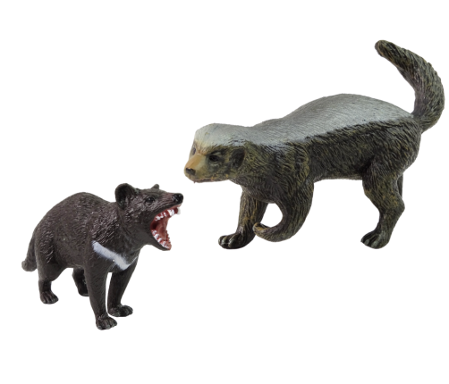 Set of 2 Figures Honey-eating Ratel and Tasmanian Devil